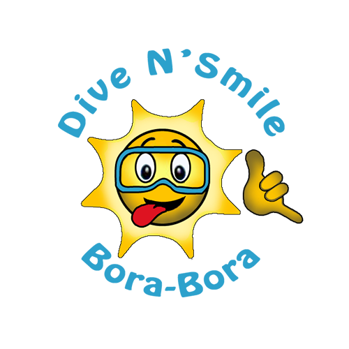 Dive N Smile Logo