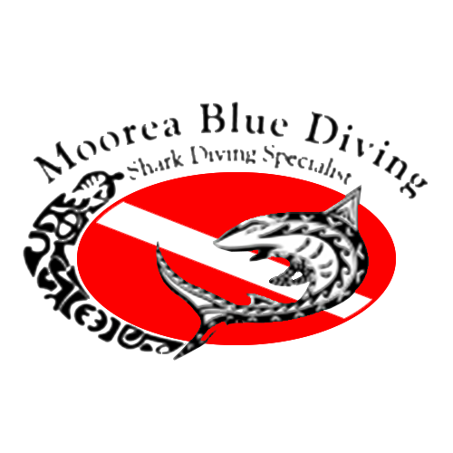 Moorea Blue Diving Logo