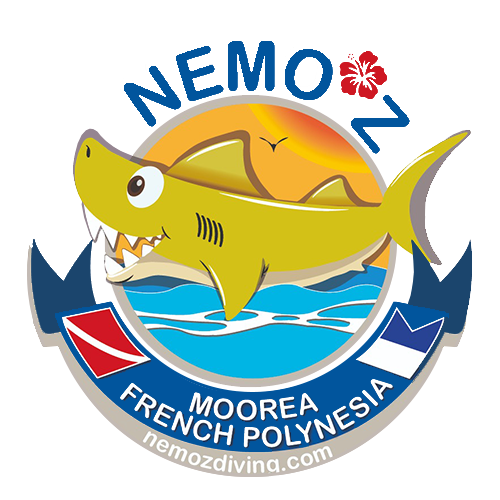 Nemoz Diving Logo