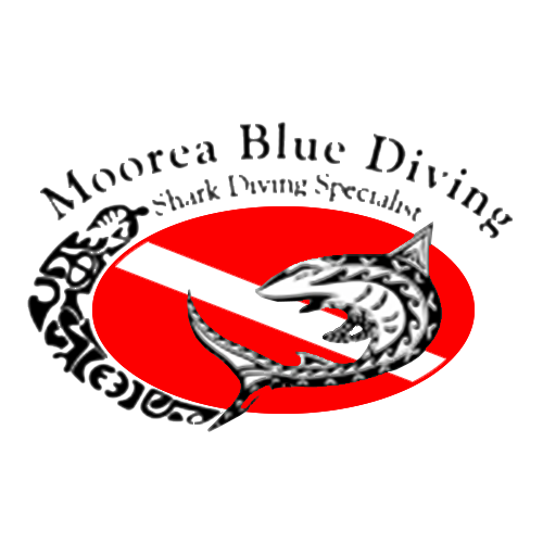 Moorea Blue Diving
