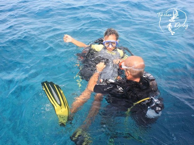 Tikehau Diving - Refresh dives