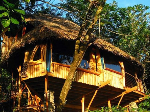 Vanira Lodge - Lodge