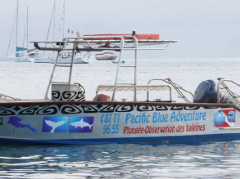 Pacific Blue Adventure - Baptême de plongée | Plongées Découverte | eDivingPass