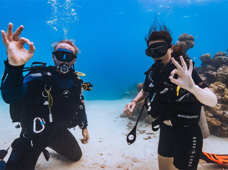 Moorea Fun Dive - Discovery dives | Discovery Dives | eDivingPass