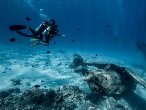 Eleuthera Plongee - Discovery dives | Discovery Dives | eDivingPass
