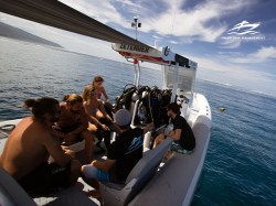 Tahiti Dive Management - Plongées Explo | Plongées Plaisir | eDivingPass