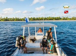 Tetamanu Diving - Discovery dives | Discovery Dives | eDivingPass