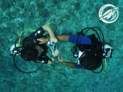 Scubapiti Moorea - SDI Open Water Scuba Diver - (4 Days) | SDI Certifications | eDivingPass