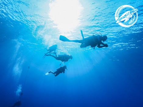 Scubapiti Moorea - Fun Dives | Exploration Dives | eDivingPass