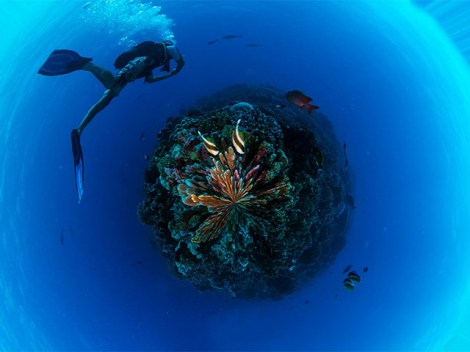 Multi-Islands Diving Pass - with Dates Free - Shareable by 2 Persons | Diving Pass | eDivingPass