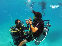 Ecole Plongee Tahiti - SSI Open Water Diver - (3 Days) | SSI Certifications | eDivingPass