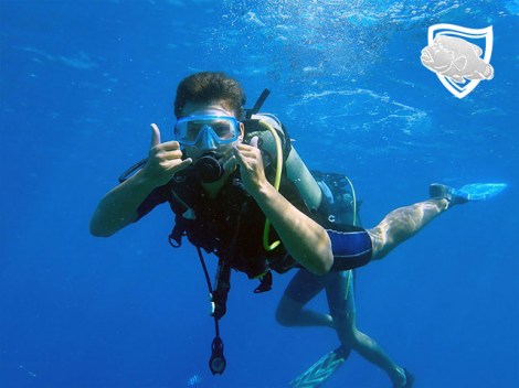 Te Mara Nui Plongee - Fun Dives | Fun Dives | eDivingPass
