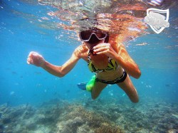 Te Mara Nui Plongee - Snorkeling | Snorkeling en Excursions | eDivingPass