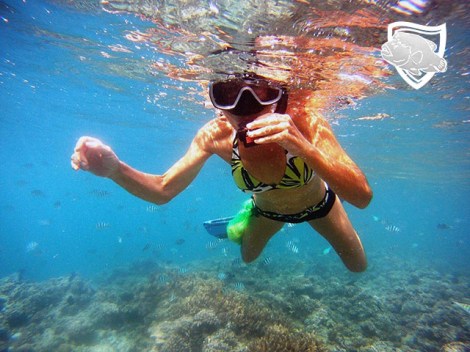 Te Mara Nui Plongee - Snorkeling | Snorkeling in Excursions | eDivingPass