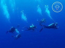 Rangiroa Diving Center - PADI Drift Diving - (1 Day) | PADI Specialties | eDivingPass
