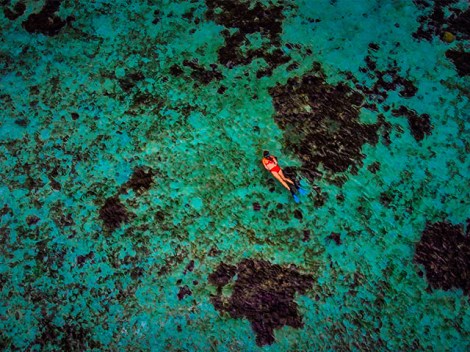 Tahiti Ocean Explorer - PRIVE Plongées Explo - 1-2 personnes | Plongées Plaisir | eDivingPass