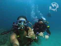 Marquises Diving - Fun Dives | Fun Dives | eDivingPass