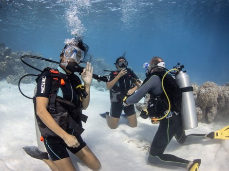 Bora Ocean Adventures - Fun Dives | Fun Dives | eDivingPass
