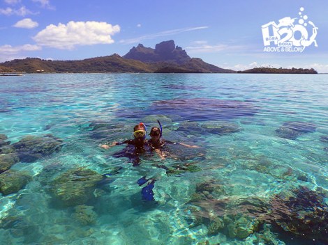 H2O  Bora-Bora - Snorkeling | Snorkeling en Excursions | eDivingPass