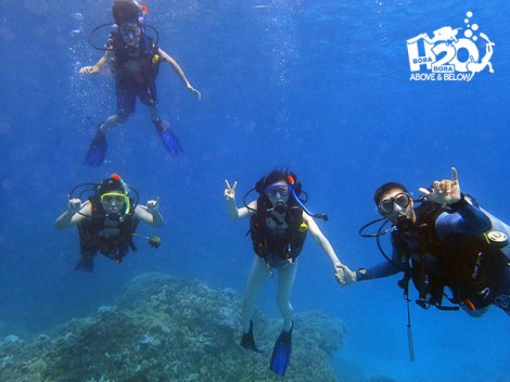 H2O Bora-Bora - Discovery Dives | Discovery Dives | eDivingPass