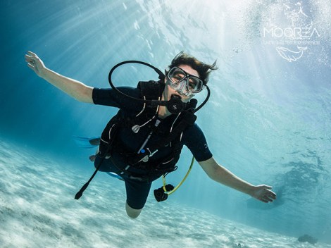 Moorea Underwater Experience - PRIVATE Fun Dives - 1/2 day 1-5 persons | Fun Dives - Private | eDivingPass