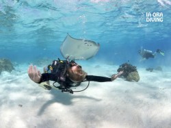 Ia Ora Diving - Discovery dives | Discovery Dives | eDivingPass