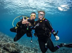 Moorea Blue Diving - Discovery dives - honeymoon, 2 persons | Discovery Dives+ | eDivingPass
