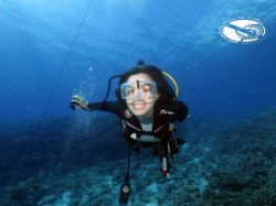 Moorea Blue Diving - Plongées réadaptation | Réadaptations | eDivingPass