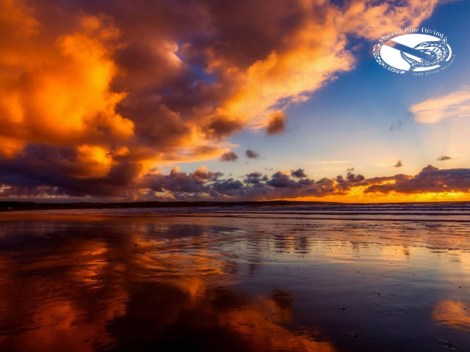 Moorea Blue Diving - Plongées Explo Sunset - coucher de soleil | Plongées Plaisir+ | eDivingPass