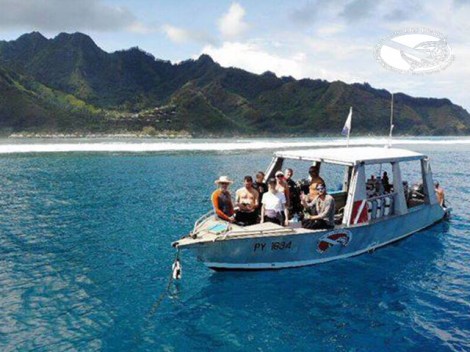 Moorea Blue Diving - Discovery dives | Discovery Dives | eDivingPass