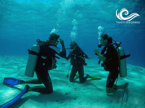 Tahiti Nui Diving - SSI Perfect Buoyancy - (1 Day) | Specialties | eDivingPass