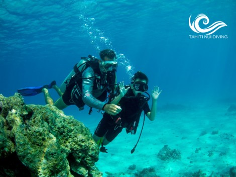 Tahiti Nui Diving - SSI Try Scuba | Plongées Découverte+ | eDivingPass