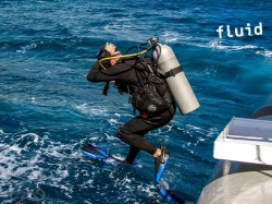 Fluid Tahiti - Refresh dives | Refresh Dives | eDivingPass
