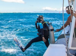Fluid Tahiti - SSI Open Water Diver - (5 Jours) | SSI Certifications | eDivingPass