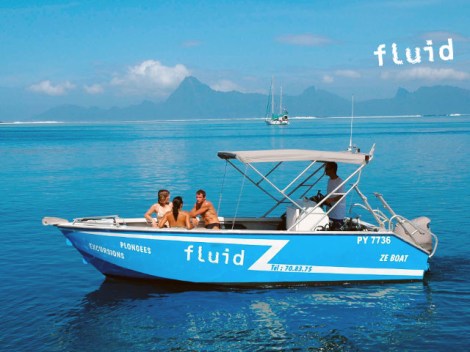 Fluid Tahiti - Fun Dives - Diving Day Trip | Fun Dives+ | eDivingPass