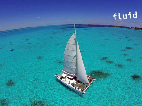 Fluid Tahiti - Fun Dives (Cruise) - Tetiaroa Experience | Cruises | eDivingPass