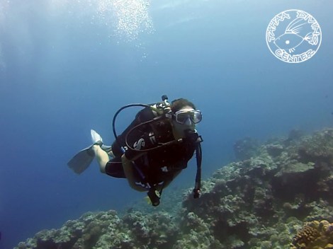 Tahaa Diving - Refresh dives | Refresh Dives | eDivingPass