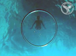 Tubuai Plongée - Free Diving - Beginner or Improvement | Free Diving | eDivingPass